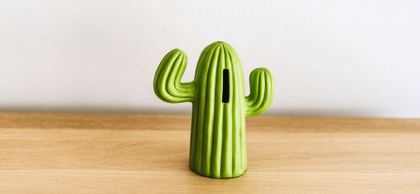 cactus moneybox